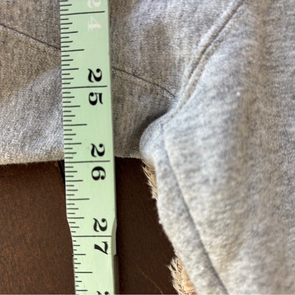 Champion 3X Gray Hoodie Womens Logo Pullover Sweatshirt Cozy Plus - Picture 5 of 6